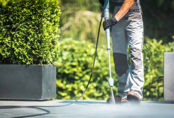 Professional Pressure Washing Services in Fox Lake, IL
